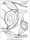animales/insectos/insectos_035.JPG