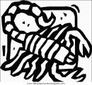 animales/insectos/insectos_039.JPG
