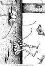 animales/insectos/insectos_044.JPG