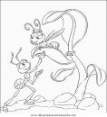 animales/insectos/insectos_063.JPG
