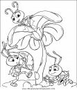 animales/insectos/insectos_070.JPG