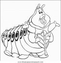 animales/insectos/insectos_072.JPG
