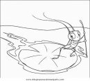 animales/insectos/insectos_074.JPG