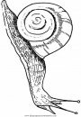 animales/insectos/insectos_077.JPG