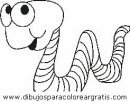 animales/insectos/insectos_082.JPG