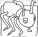 animales/insectos/insectos_083.JPG