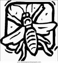 animales/insectos/insectos_085.JPG