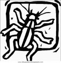 animales/insectos/insectos_089.JPG