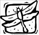 animales/insectos/insectos_090.JPG