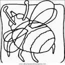 animales/insectos/insectos_092.JPG