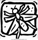 animales/insectos/insectos_093.JPG