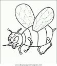 animales/insectos/insectos_094.JPG