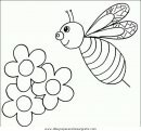 animales/insectos/insectos_095.JPG