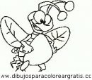 animales/insectos/insectos_097.JPG