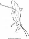 animales/insectos/katydid.JPG