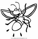 animales/insectos/luciernagas_1.JPG
