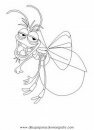 animales/insectos/luciernagas_2.JPG