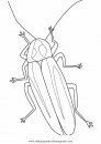 animales/insectos/luciernagas_3.JPG