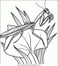 animales/insectos/mantide_religiosa.JPG