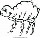 animales/insectos/pulga_1.JPG