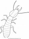 animales/insectos/termite.JPG
