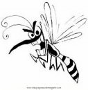 animales/insectos/zancudo_2.JPG