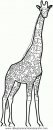 animales/jirafas/jirafas_04.JPG