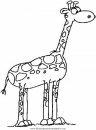 animales/jirafas/jirafas_10.JPG