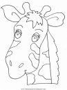 animales/jirafas/jirafas_12.JPG