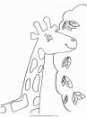 animales/jirafas/jirafas_20.JPG