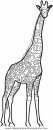 animales/jirafas/jirafas_22.JPG