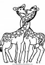 animales/jirafas/jirafas_33.JPG