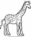 animales/jirafas/jirafas_38.JPG