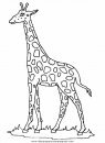 animales/jirafas/jirafas_45.JPG