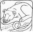 animales/leones/leones_02.JPG