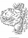 animales/leones/leones_10.JPG