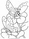 animales/mariposas/mariposas_002.JPG