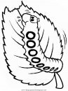 animales/mariposas/mariposas_005.JPG