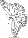 animales/mariposas/mariposas_006.JPG