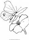 animales/mariposas/mariposas_008.JPG