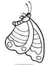 animales/mariposas/mariposas_010.JPG