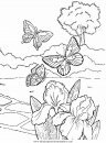 animales/mariposas/mariposas_011.JPG