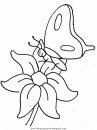 animales/mariposas/mariposas_016.JPG