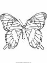 animales/mariposas/mariposas_018.JPG