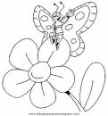 animales/mariposas/mariposas_019.JPG