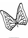 animales/mariposas/mariposas_021.JPG