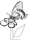 animales/mariposas/mariposas_023.JPG