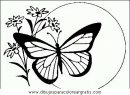 animales/mariposas/mariposas_034.JPG