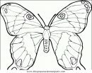 animales/mariposas/mariposas_039.JPG
