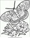 animales/mariposas/mariposas_042.JPG